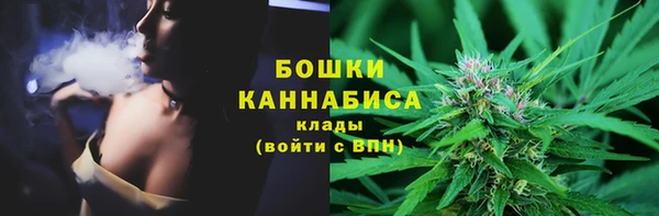 прущие грибы Белоозёрский