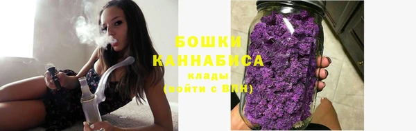 прущий лед Белокуриха