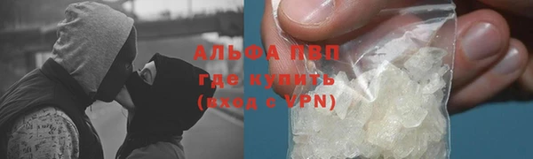 ГАЛЛЮЦИНОГЕННЫЕ ГРИБЫ Беломорск
