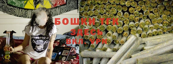 прущие грибы Белоозёрский