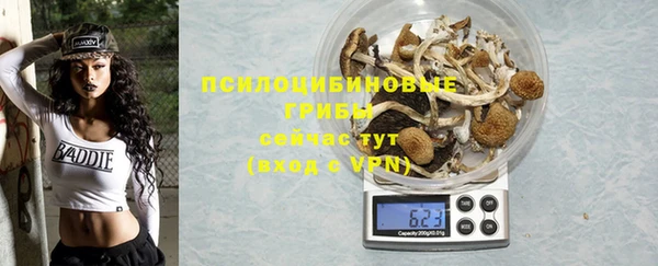 ГАЛЛЮЦИНОГЕННЫЕ ГРИБЫ Беломорск